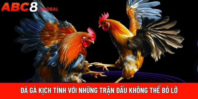 Đá gà kịch tính với những trận đấu không thể bỏ lỡ