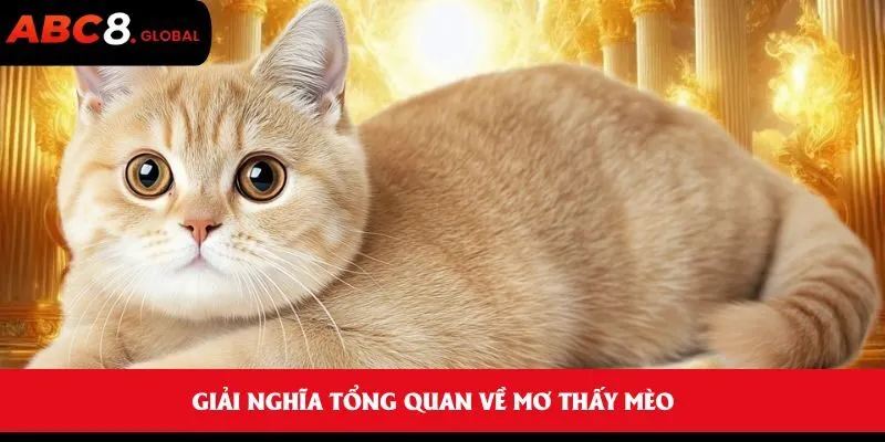 Giải nghĩa tổng quan về mơ thấy mèo