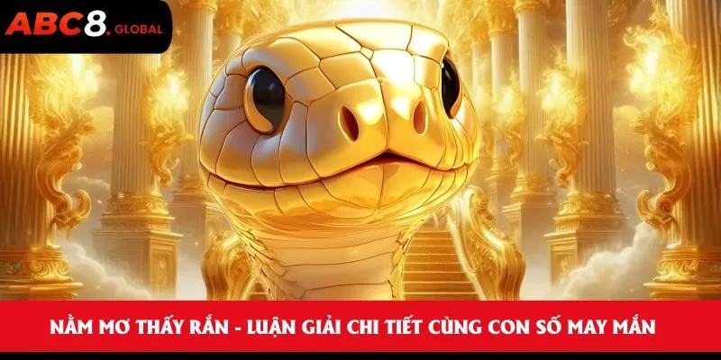 Nằm mơ thấy rắn - Luận giải chi tiết cùng con số may mắn 1 Nằm mơ thấy rắn