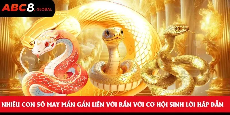 Nhiều con số may mắn gắn liền với rắn với cơ hội sinh lời hấp dẫn