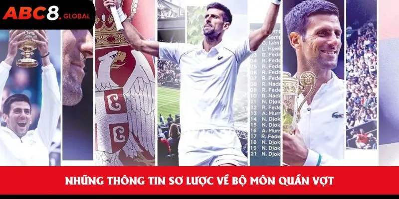 Những thông tin sơ lược về bộ môn quần vợt